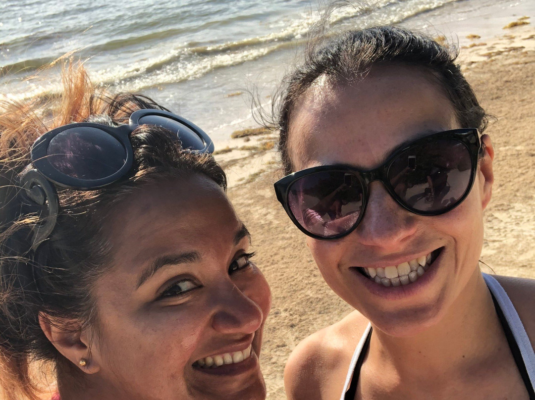 Marina La Bonita-从莫雷洛斯港必去景点