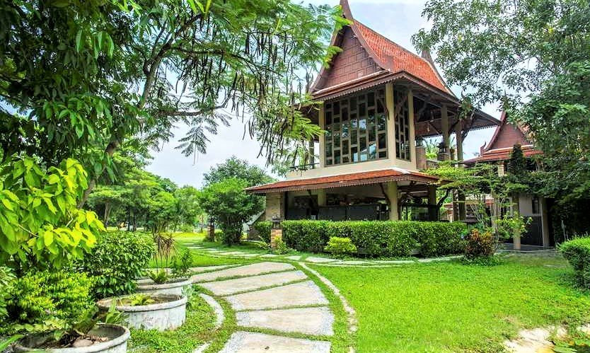 Siamese Fighting Fish Gallery-帕巴登必去景点