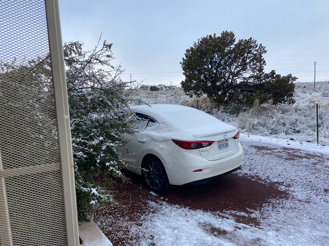 邓普林帕奇住宿加早餐酒店主图