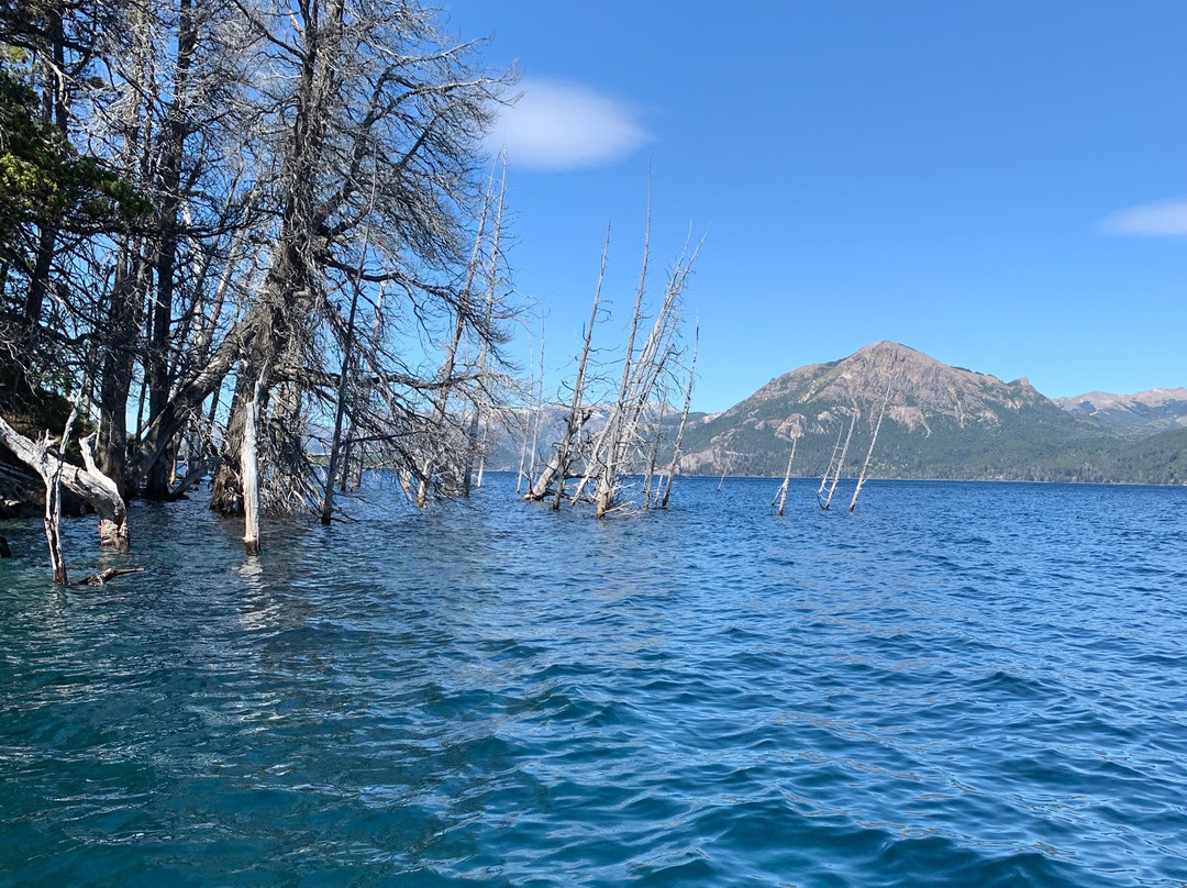 Bosque Sumergido-Villa Traful必去景点