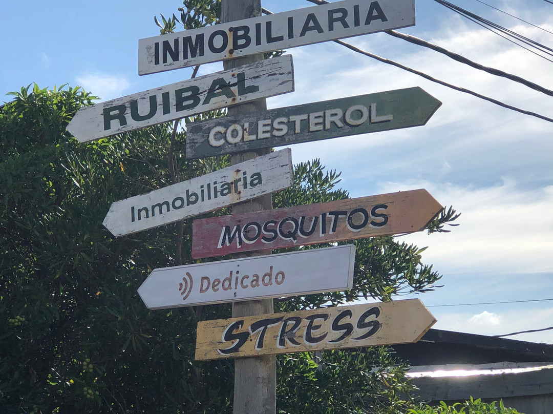 Playa de Jose Ignacio-Jose Ignacio必去景点