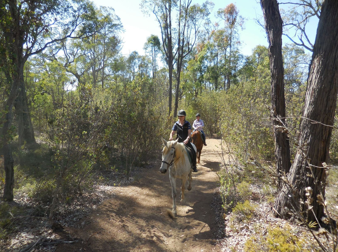 Forge Farm Riding School景点图片