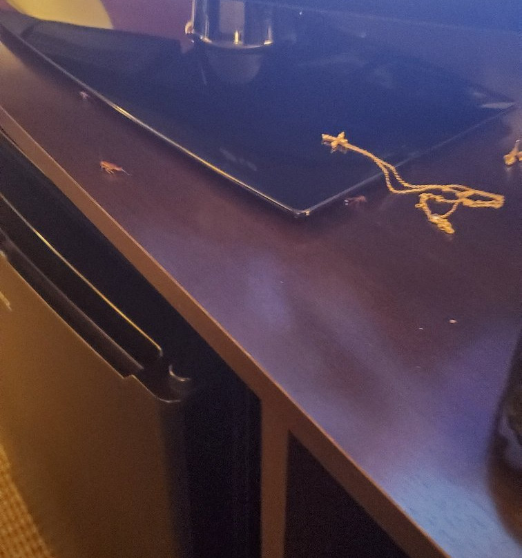 Sleep Inn Richmond North主图