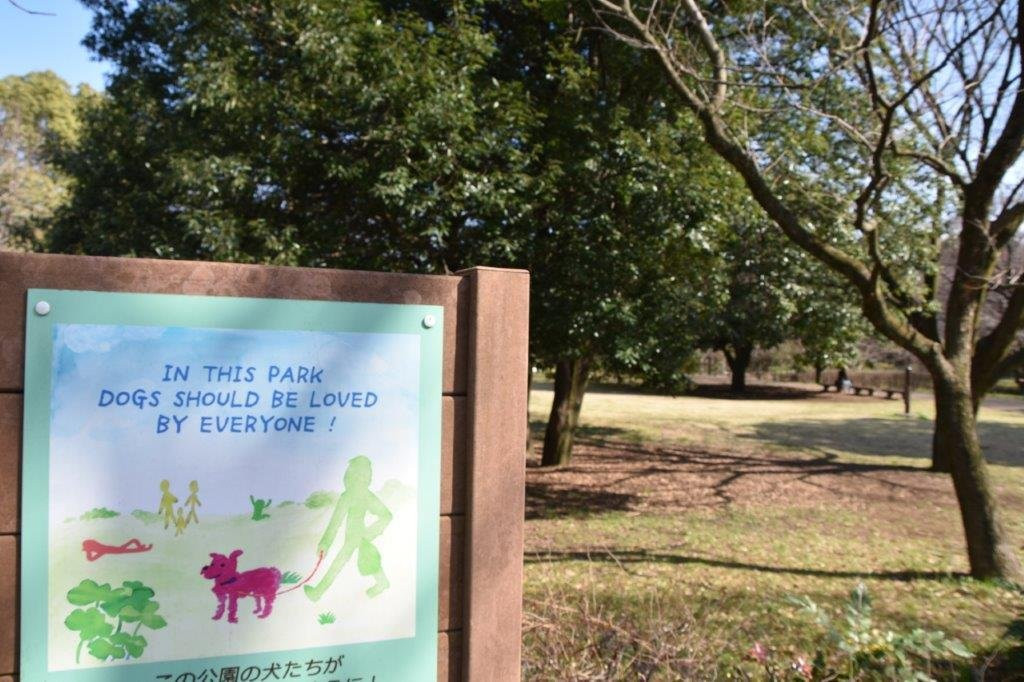 Musashi Kokubunji Park-国分寺市必去景点