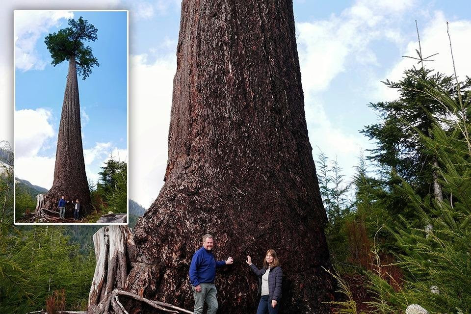 Port Renfrew Adventure Company景点图片