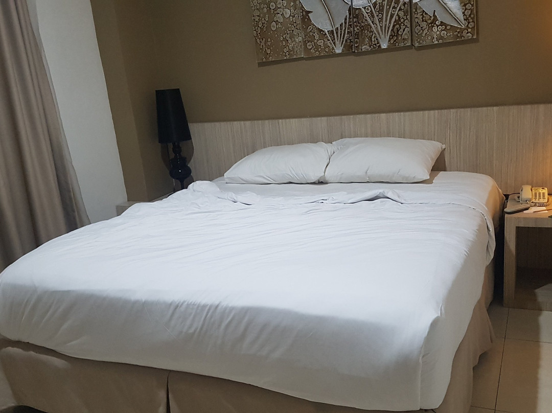 HW Hotel Padang主图