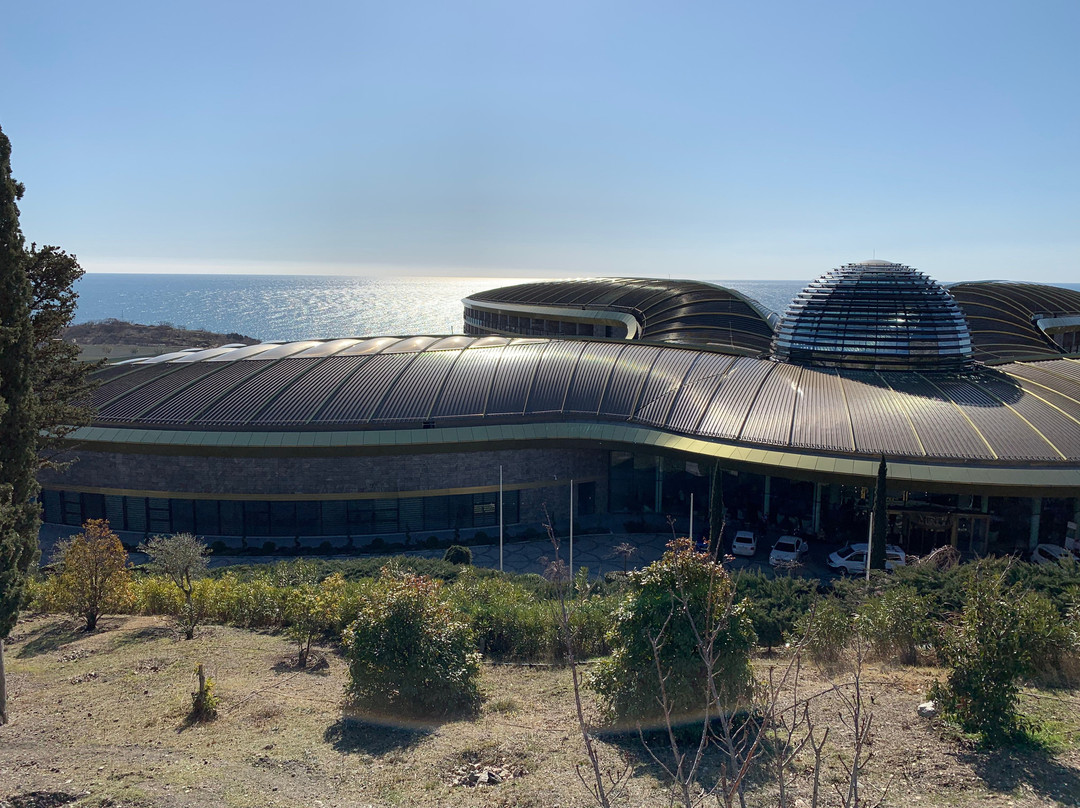 Mriya Resort & Spa主图