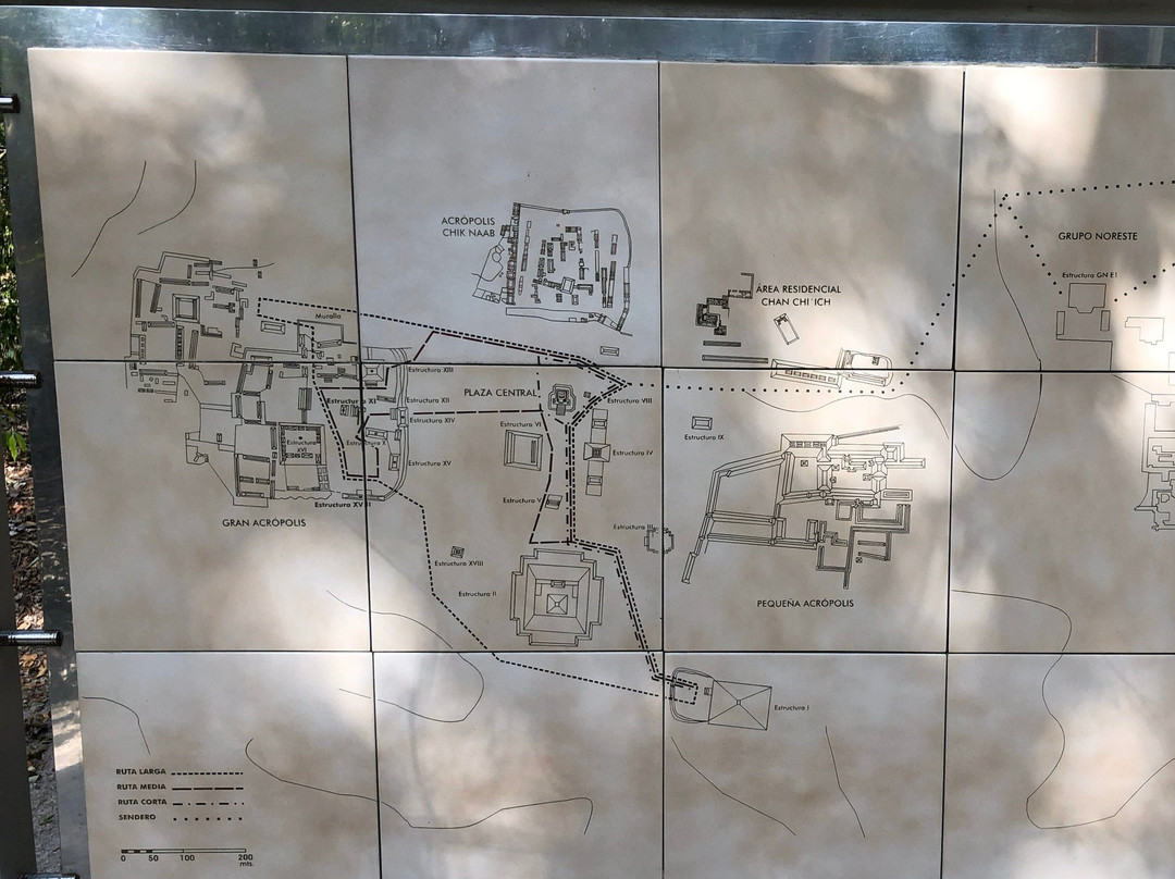 Reserva de la Biosfera de Calakmul-卡拉克穆尔必去景点