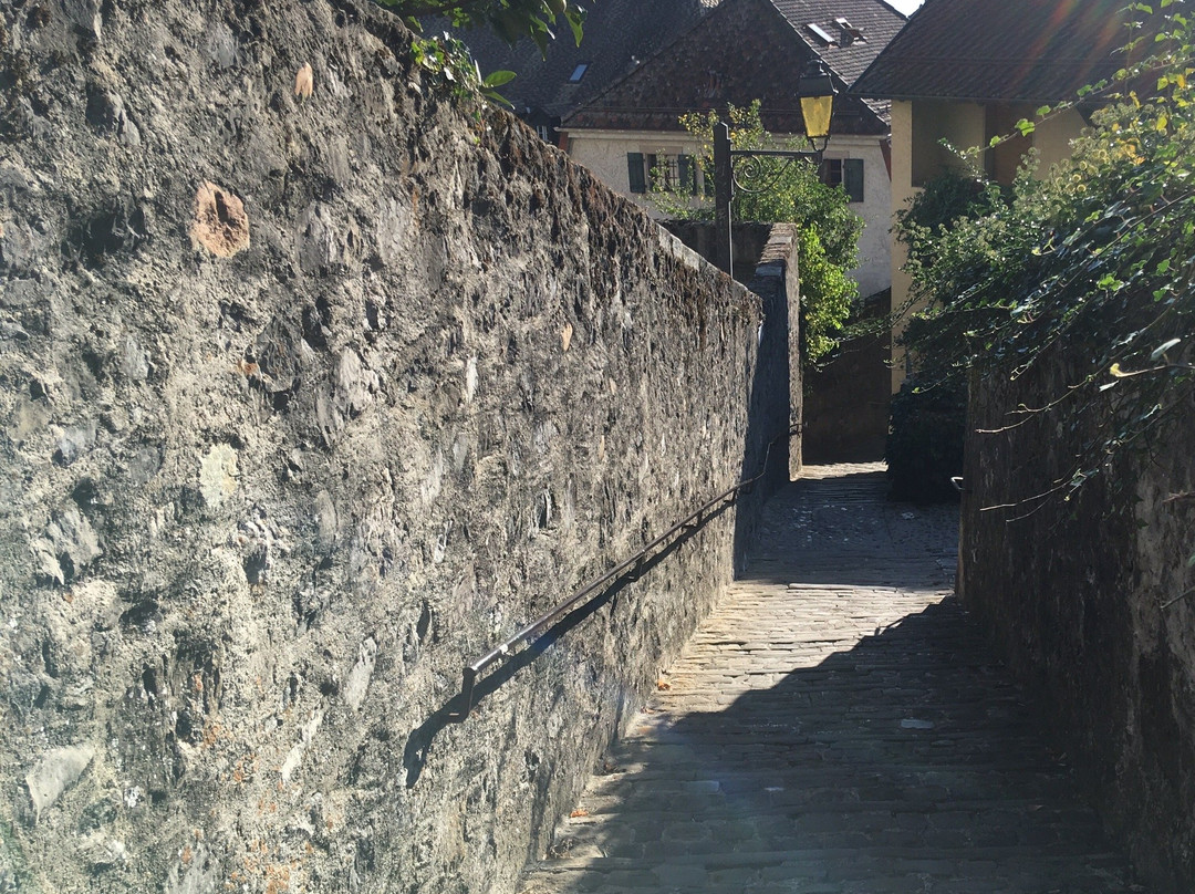 Nyon Region Tourism-尼永必去景点