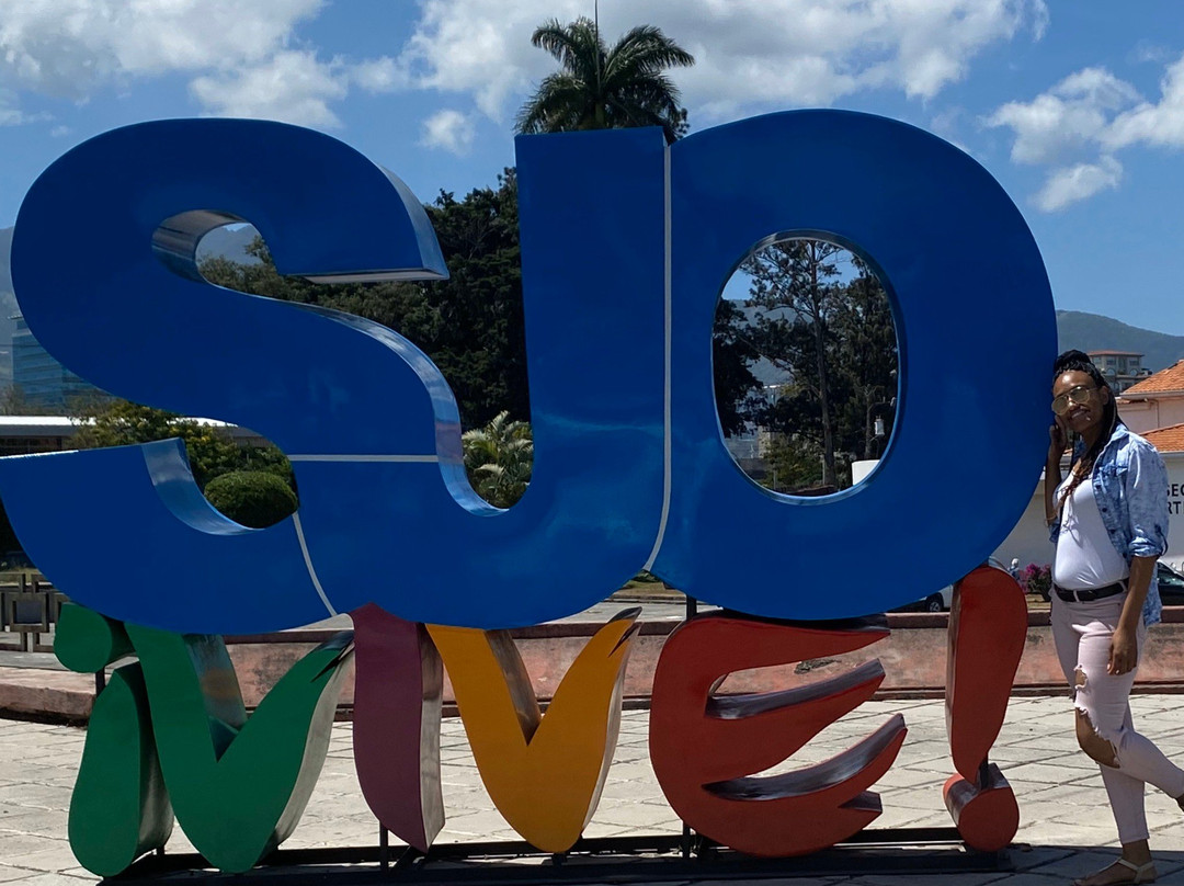 VIP City Bus-圣何塞必去景点