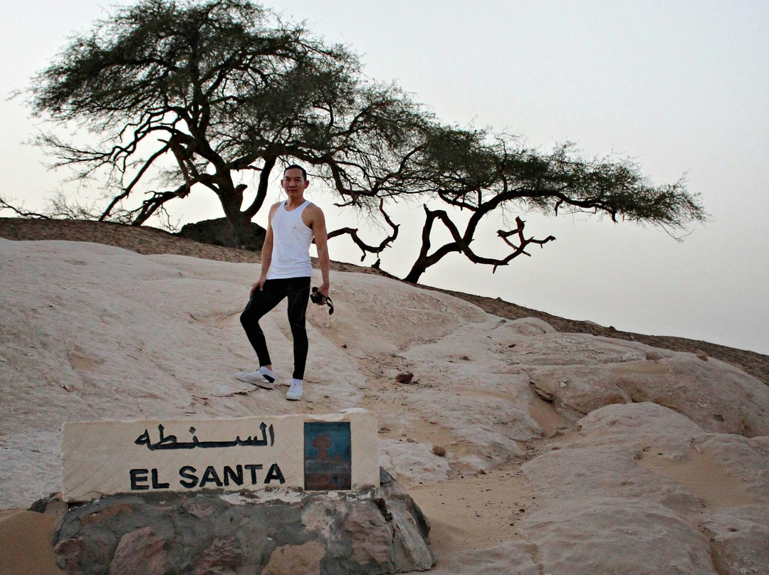 El-Santa Acacia Tree景点图片