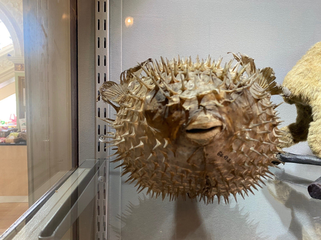 Tolson Museum-Huddersfield必去景点