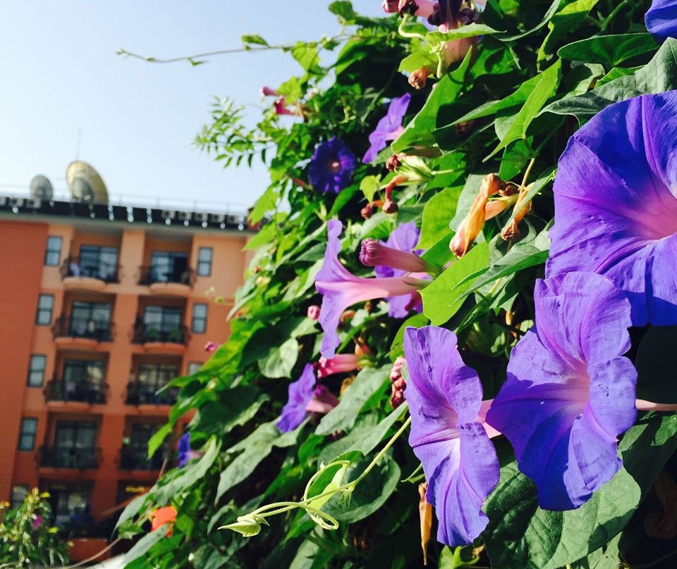 Sunpark Garden Hotel主图