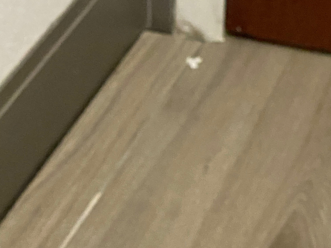 Hampton Inn Quincy主图