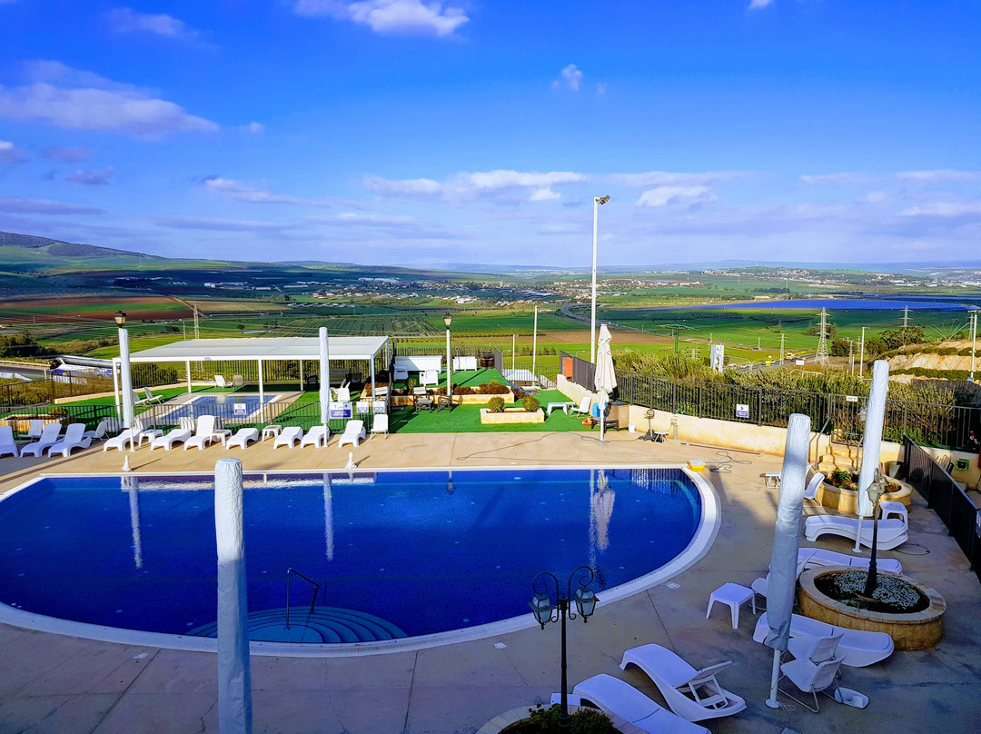 Olive Gilboa Mountain主图