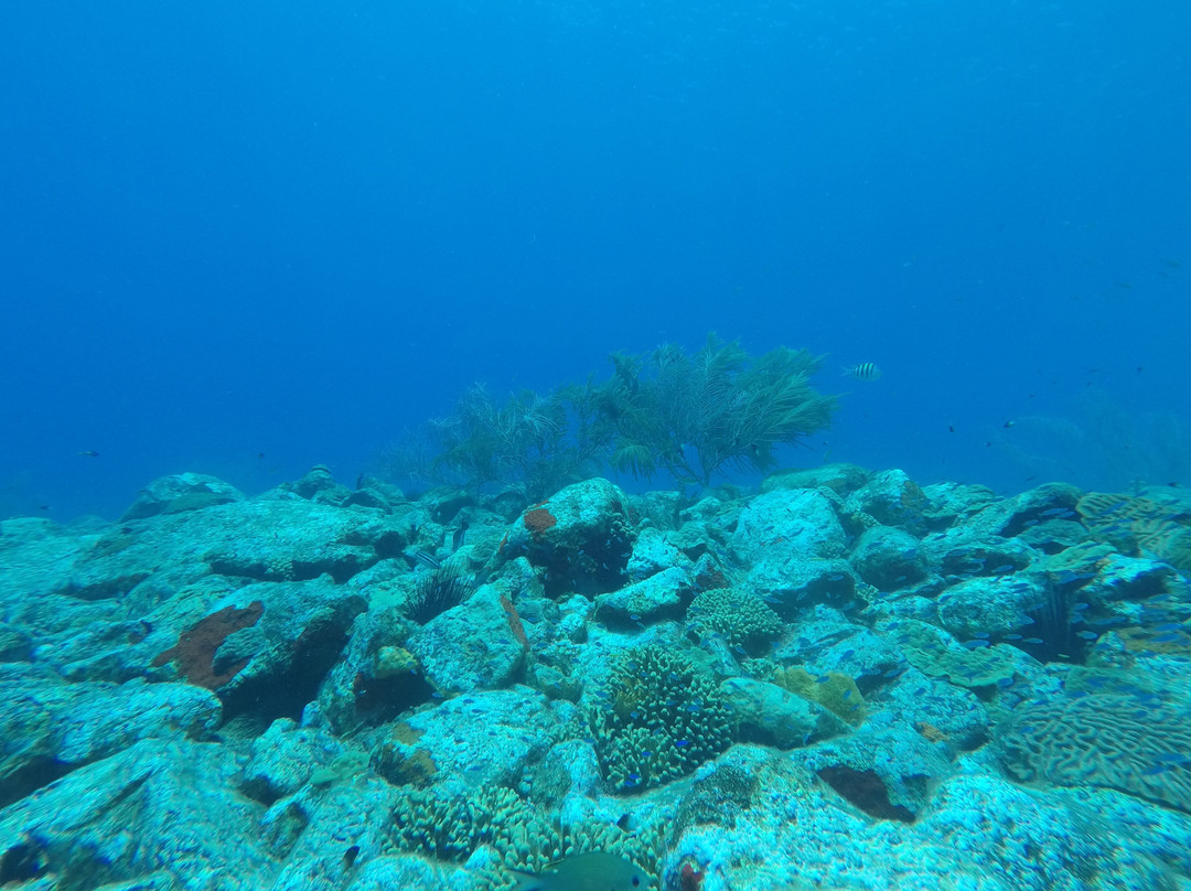 SALT-Toucari必去景点