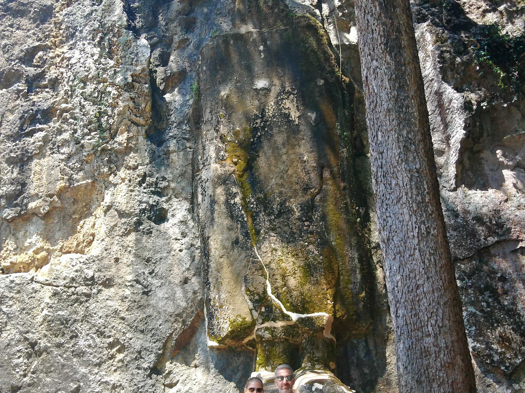 Dhowa Rock Temple景点图片