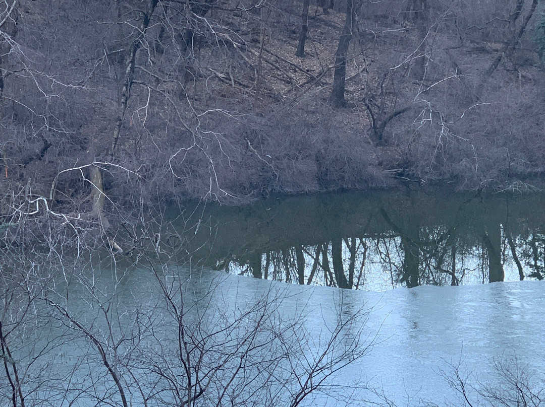 Gar Pond-White Springs必去景点