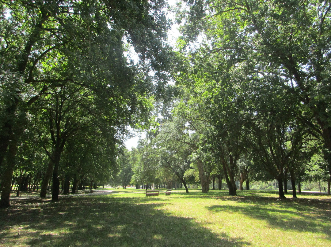 Parque Urbano Sara Moreira景点图片