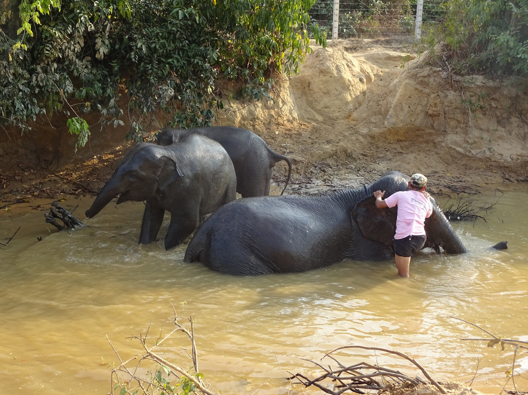 Winga Baw Elephant Camp-勃固必去景点