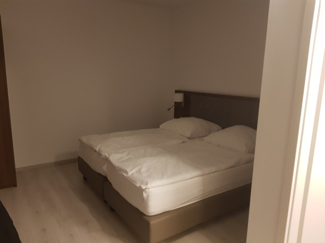 Anor Hotel & Conference Center Frankfurt Airport主图