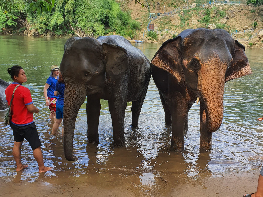 Saiyok Elephant Park景点图片