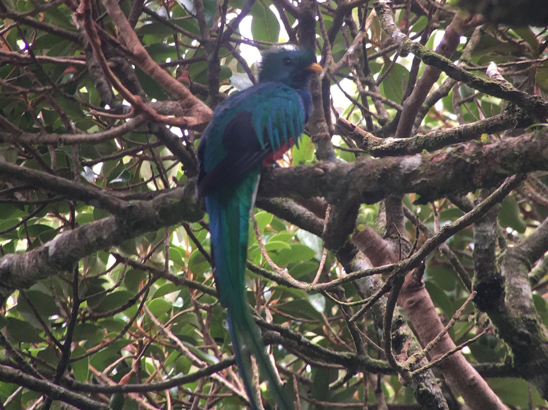 Costa Rica Wáköö Tours-哥斯达黎加安东尼奥国家公园必去景点