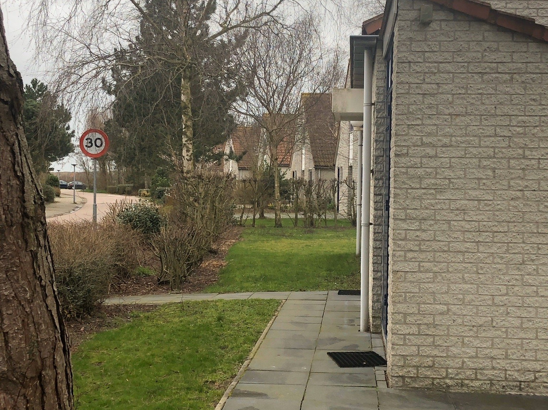 Landal Beach Ooghduyn主图