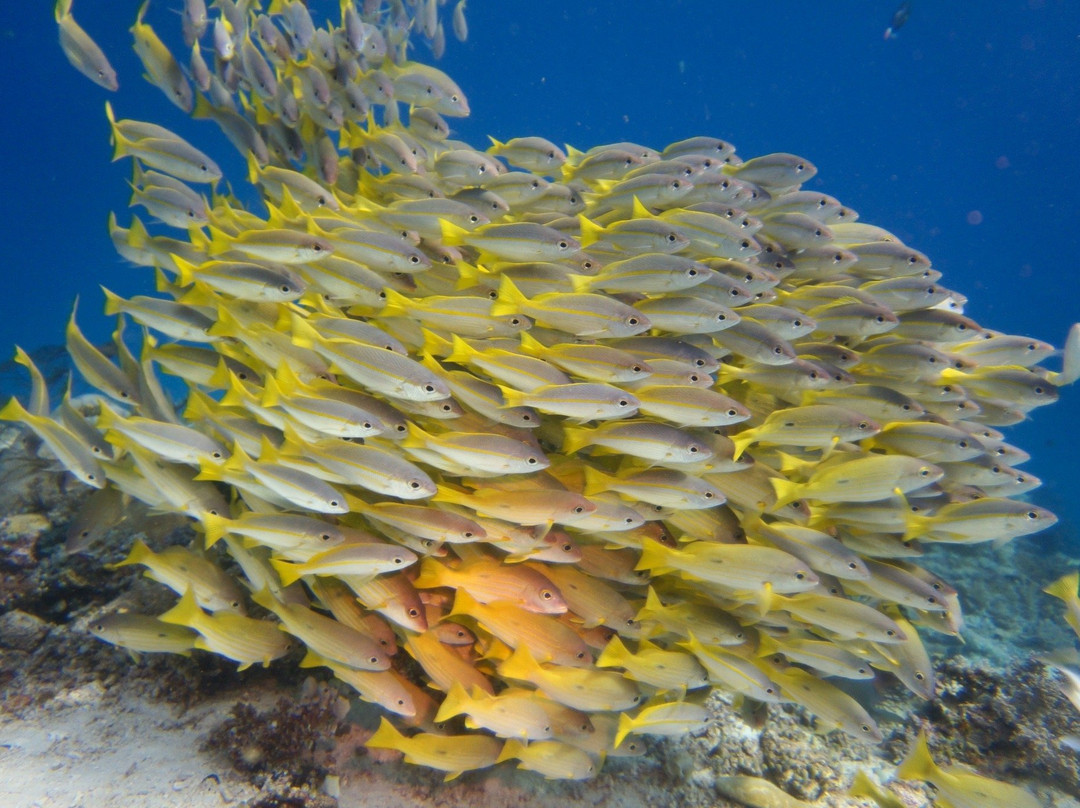 Cape Kri-四王岛必去景点