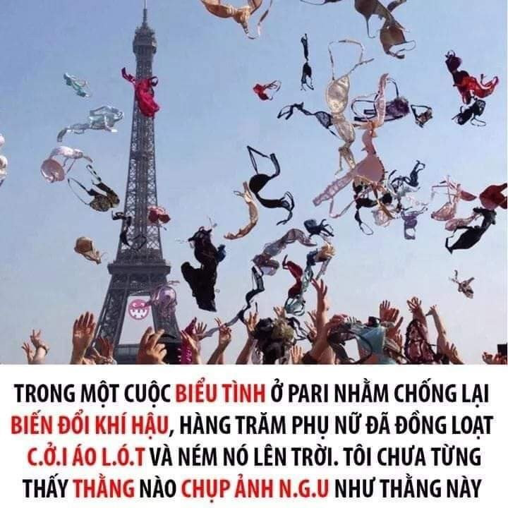 Chimi Farm景点图片