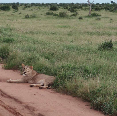 Bush Company-马林地必去景点