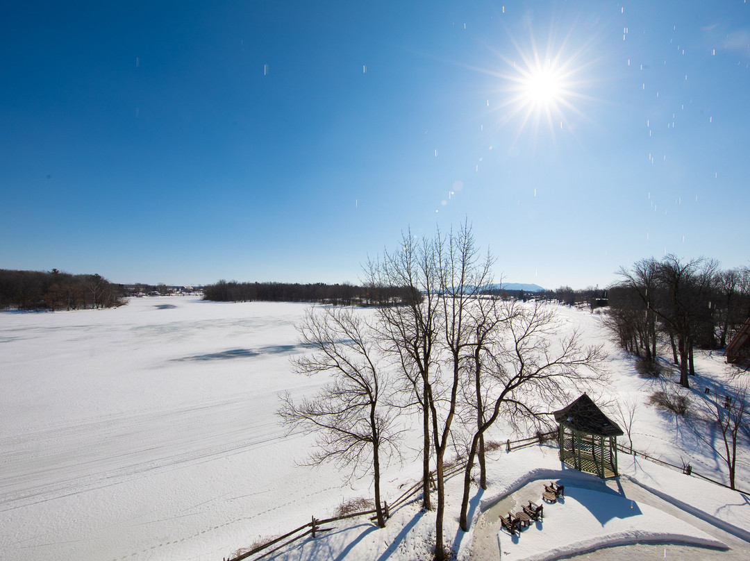 Hôtel Trois Tilleuls主图