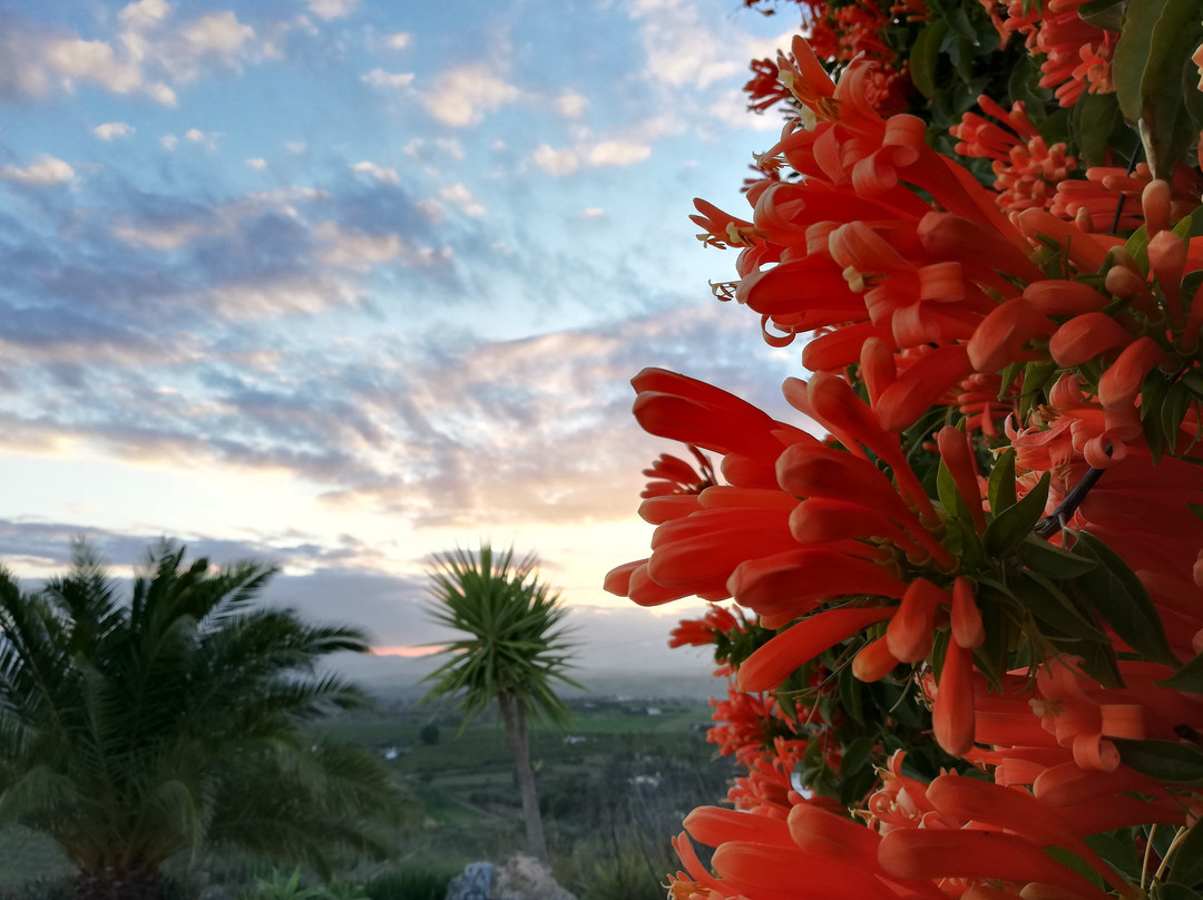 Casa De La Vida Malaga主图