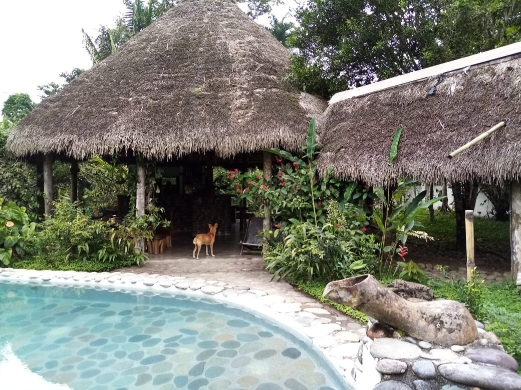 France Amazonia主图