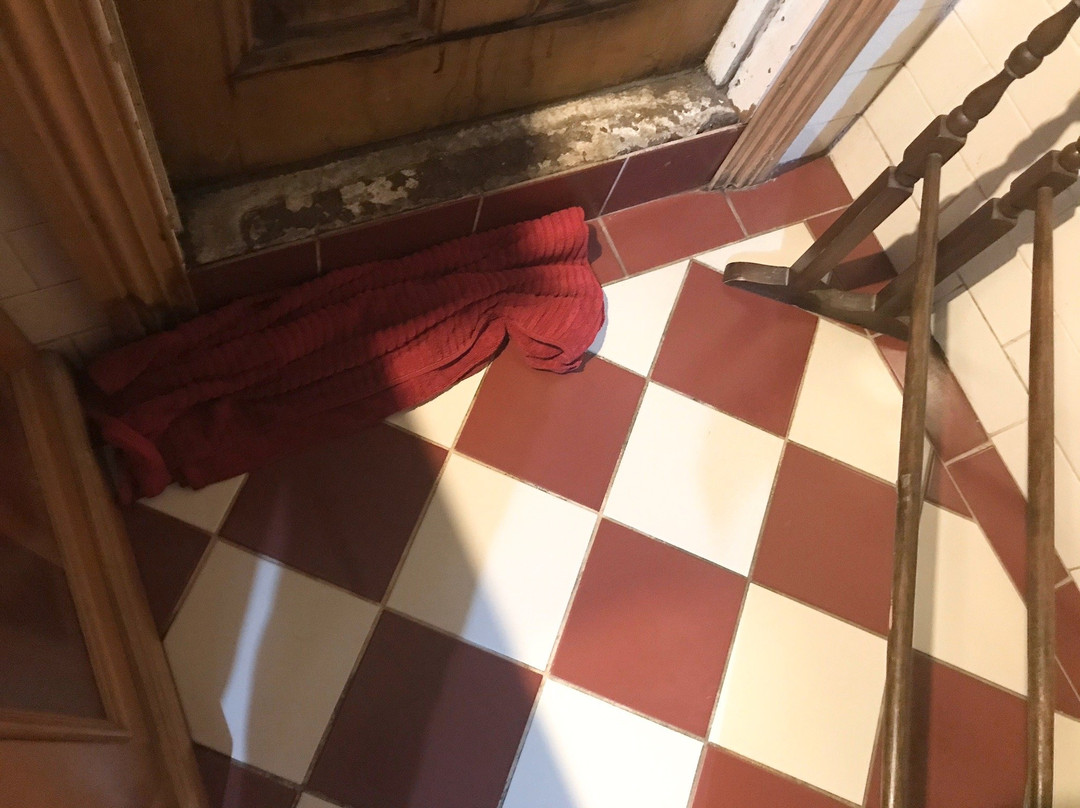 The Dragonfly Inn主图