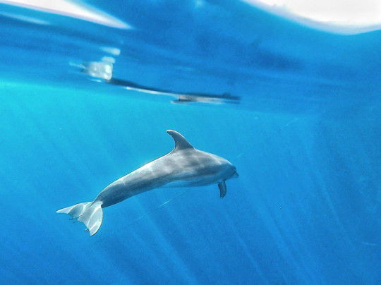 Adventoure & Experiences-洛斯克里斯蒂亚诺斯必去景点