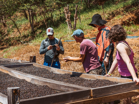 Cafetal Santa Rosa-Zaragoza必去景点