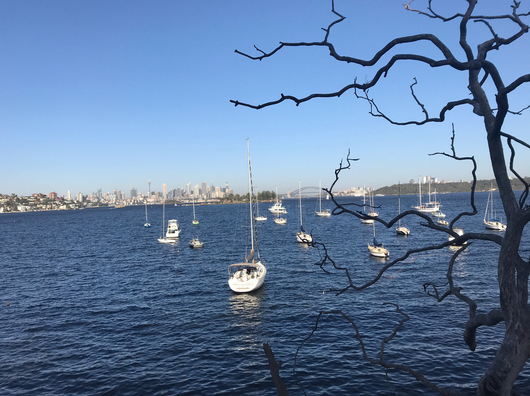 玫瑰湾至尼尔森公园漫步-悉尼必去景点