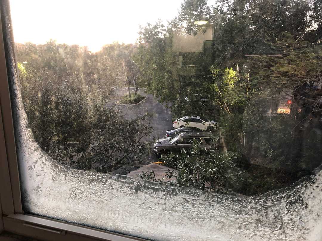 Vacation Village at Weston主图