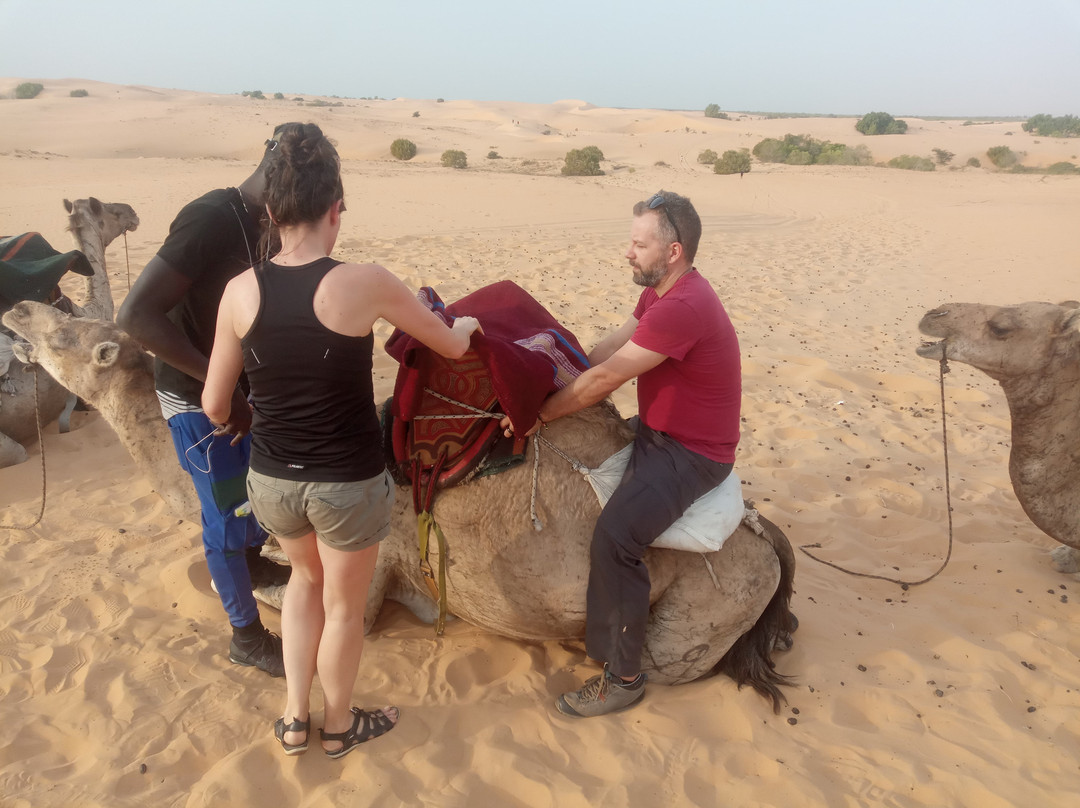 Voyage Sénégal Guide景点图片