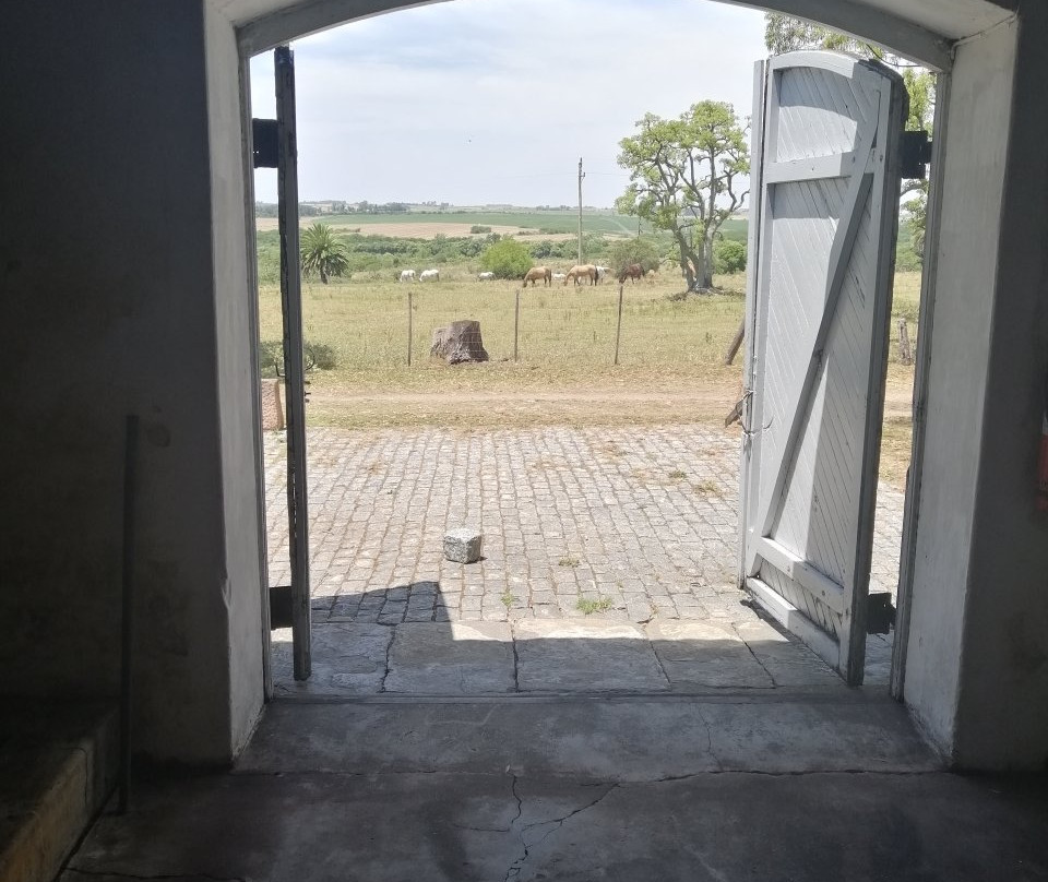 Bodega Los Cerros De San Juan-科洛尼亚·德尔萨克拉门托城必去景点