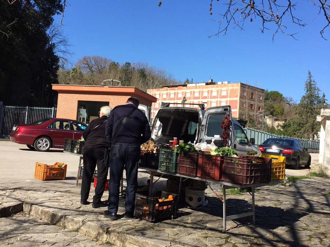 Parco della Legalita-Contursi Terme必去景点