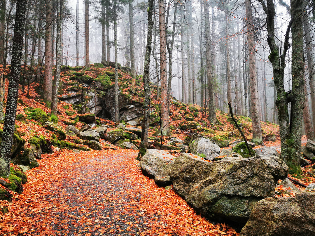 Šumava National Park-波西米亚必去景点
