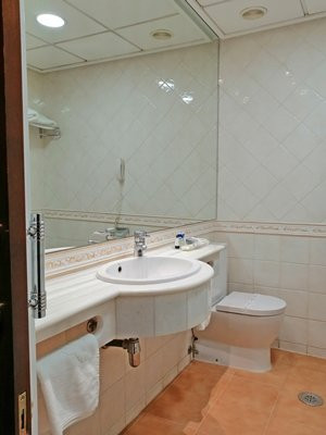 托雷曼加纳酒店主图