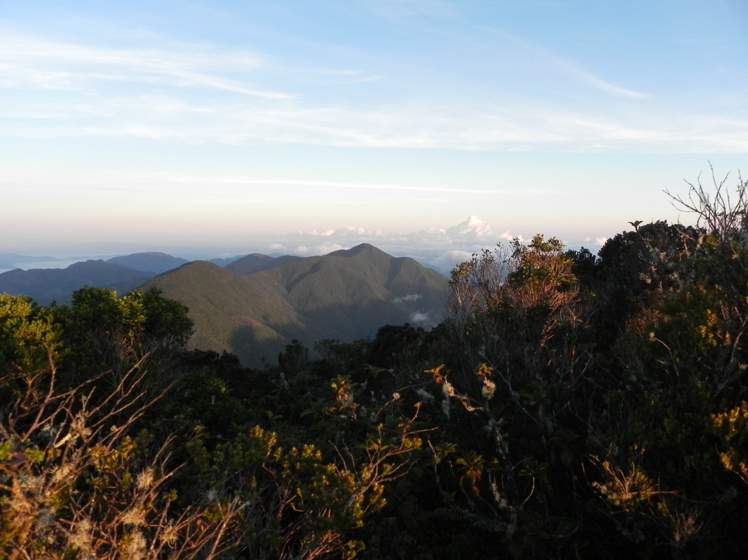 Blue Mountain Peak景点图片