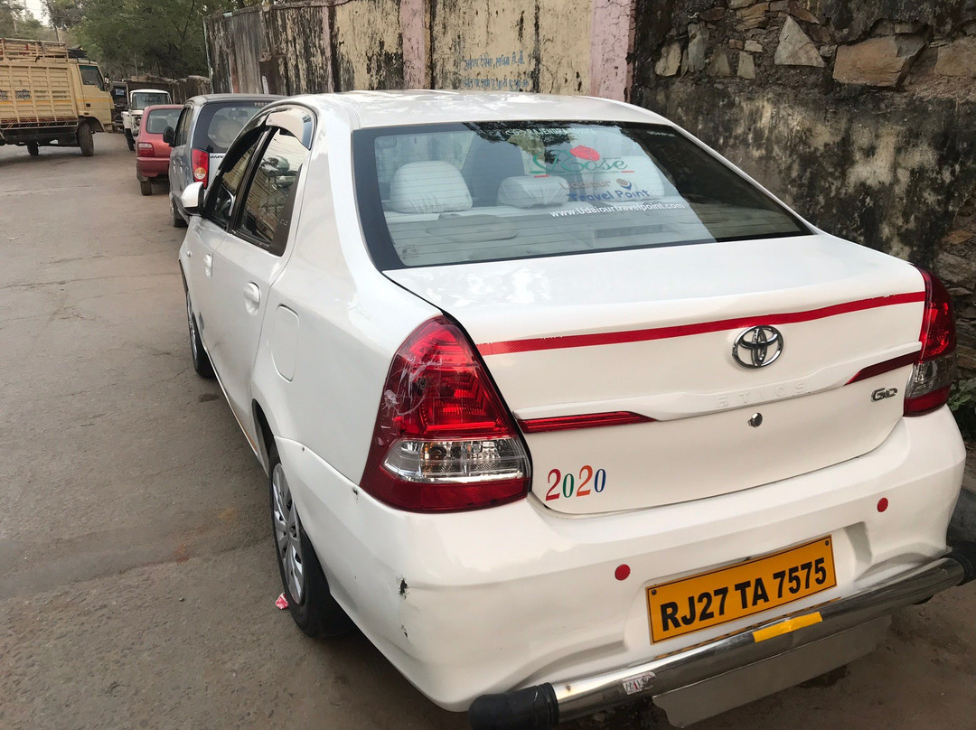 Udaipur Travel Point景点图片