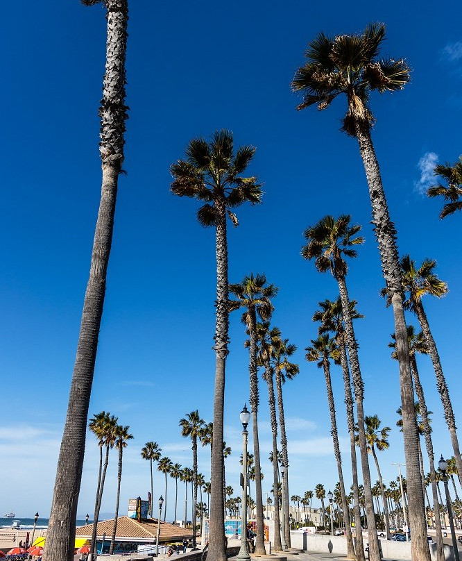 Main Street Huntington Beach-亨廷顿海滩必去景点
