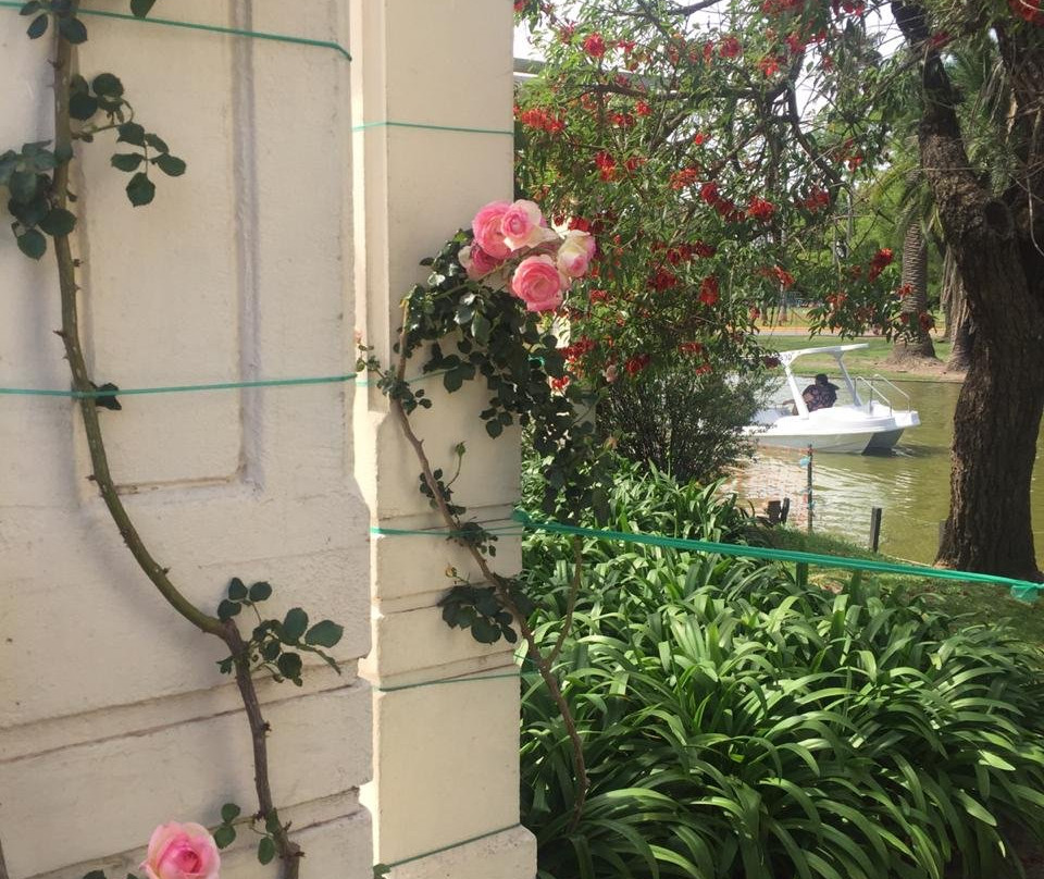 Rosedal De Palermo-布宜诺斯艾利斯必去景点