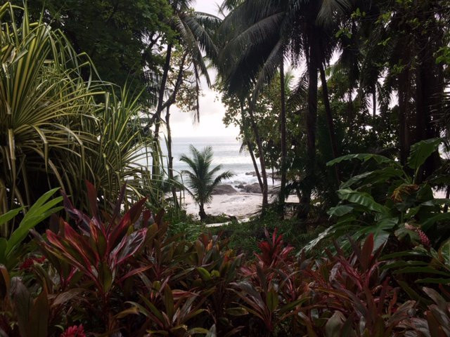 Ylang Ylang Beach Resort主图