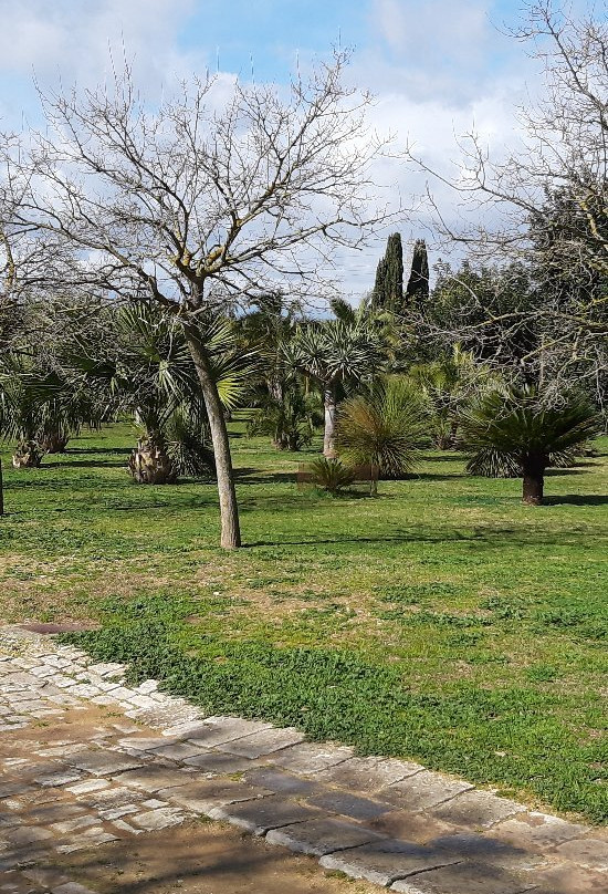 Villa Fegotto景点图片
